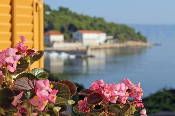 Villa Marga Jelsa  Εξωτερικό φωτογραφία