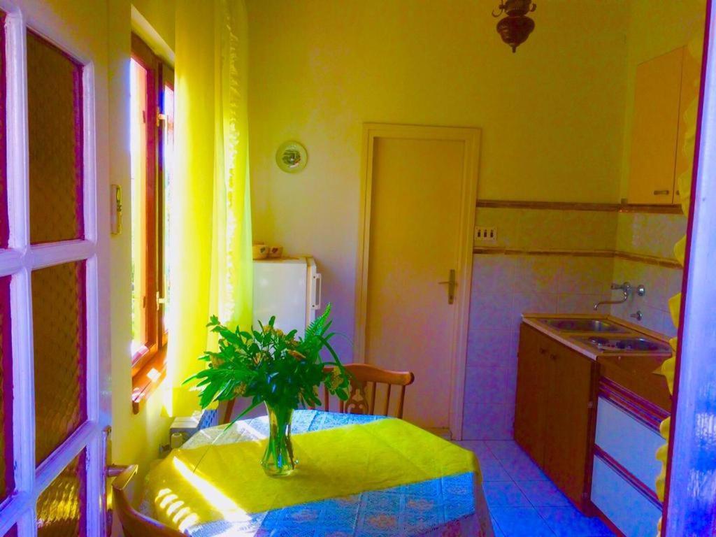Villa Marga Jelsa  Εξωτερικό φωτογραφία