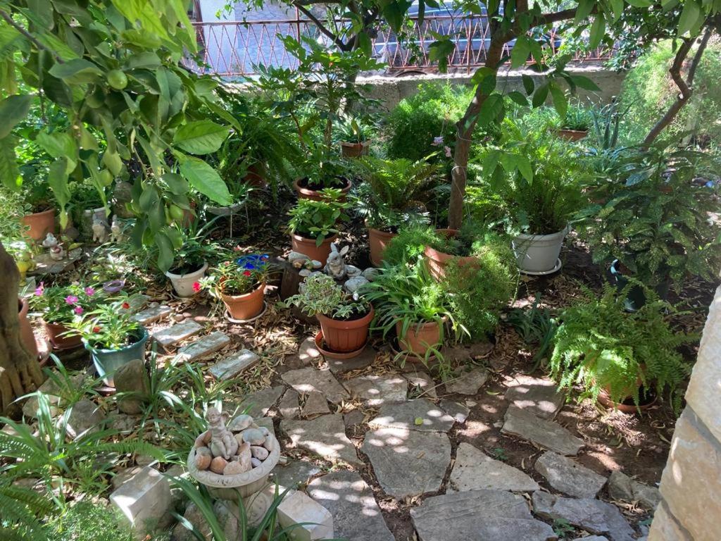 Villa Marga Jelsa  Εξωτερικό φωτογραφία