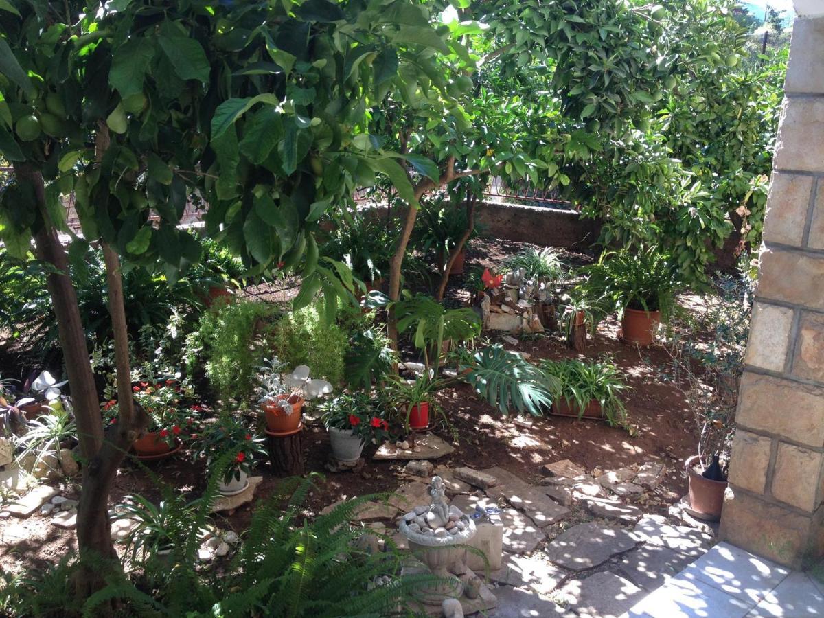 Villa Marga Jelsa  Εξωτερικό φωτογραφία